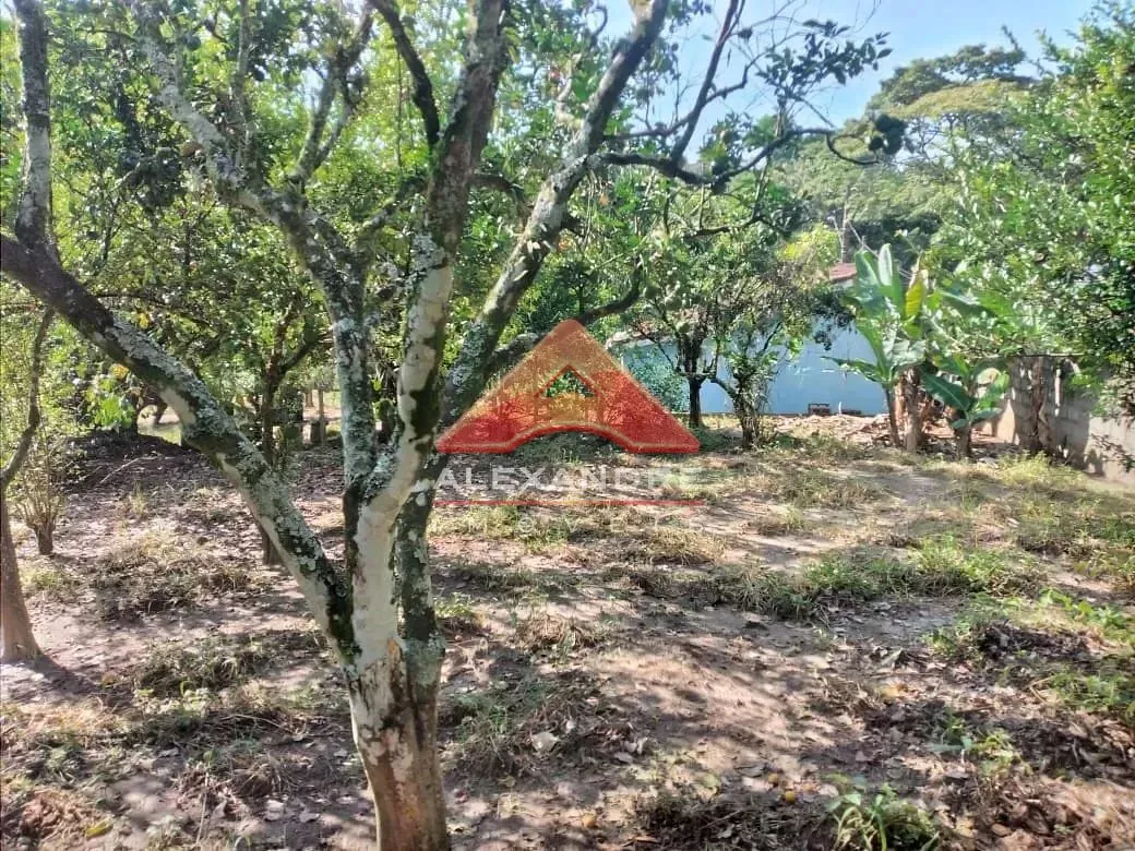 Casa, 1 quarto, 60 m² - Foto 12