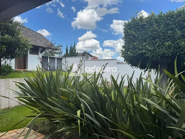 Casa com 1100m² 4 quartos e 2 banheiros, à venda, no bairro Estrela em Ponta Grossa