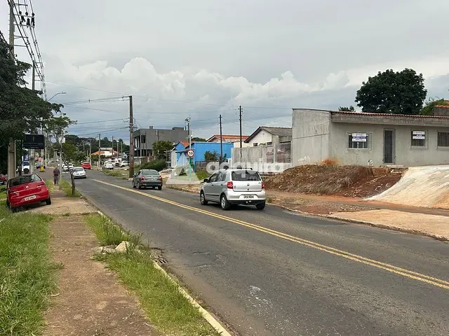 Terreno com 429m², à venda, no bairro Jardim Carvalho em Ponta Grossa