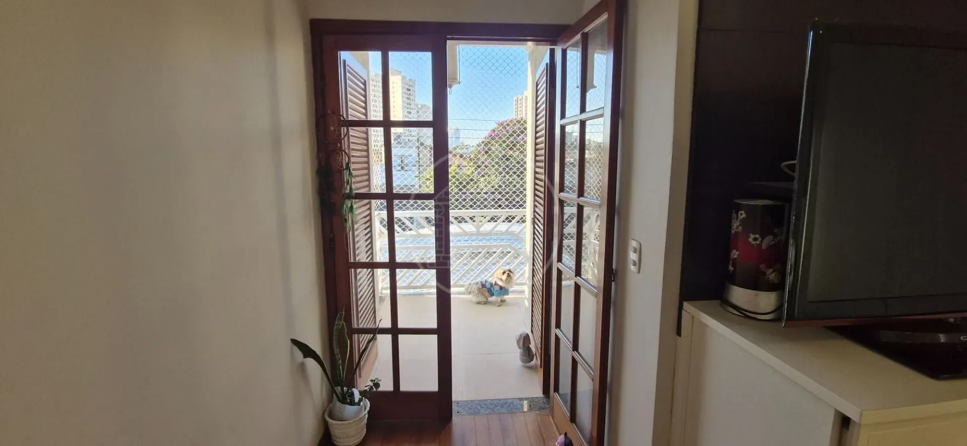 Casa, 4 quartos, 185 m² - Foto 3