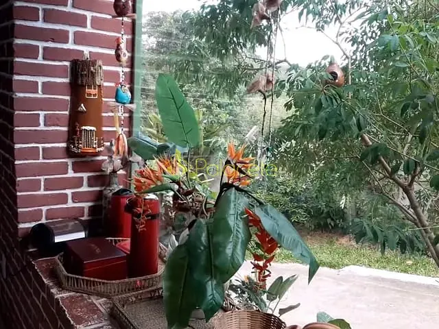 Casa 3 quartos e 2 banheiros, à venda, no bairro Borba em Pindamonhangaba