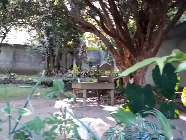 Casa 3 quartos e 2 banheiros, à venda, no bairro Borba em Pindamonhangaba