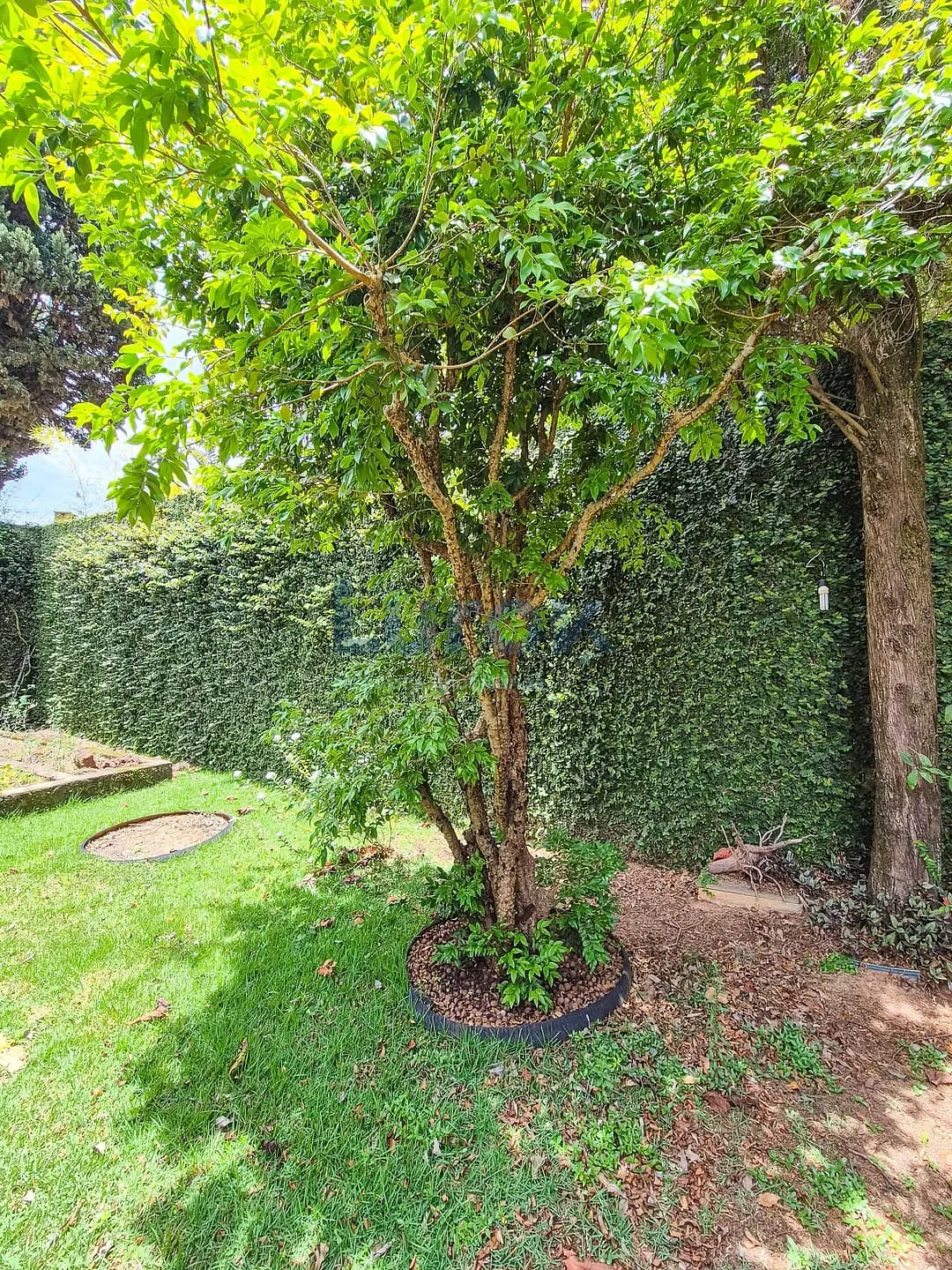 Casa, 3 quartos, 458 m² - Foto 43