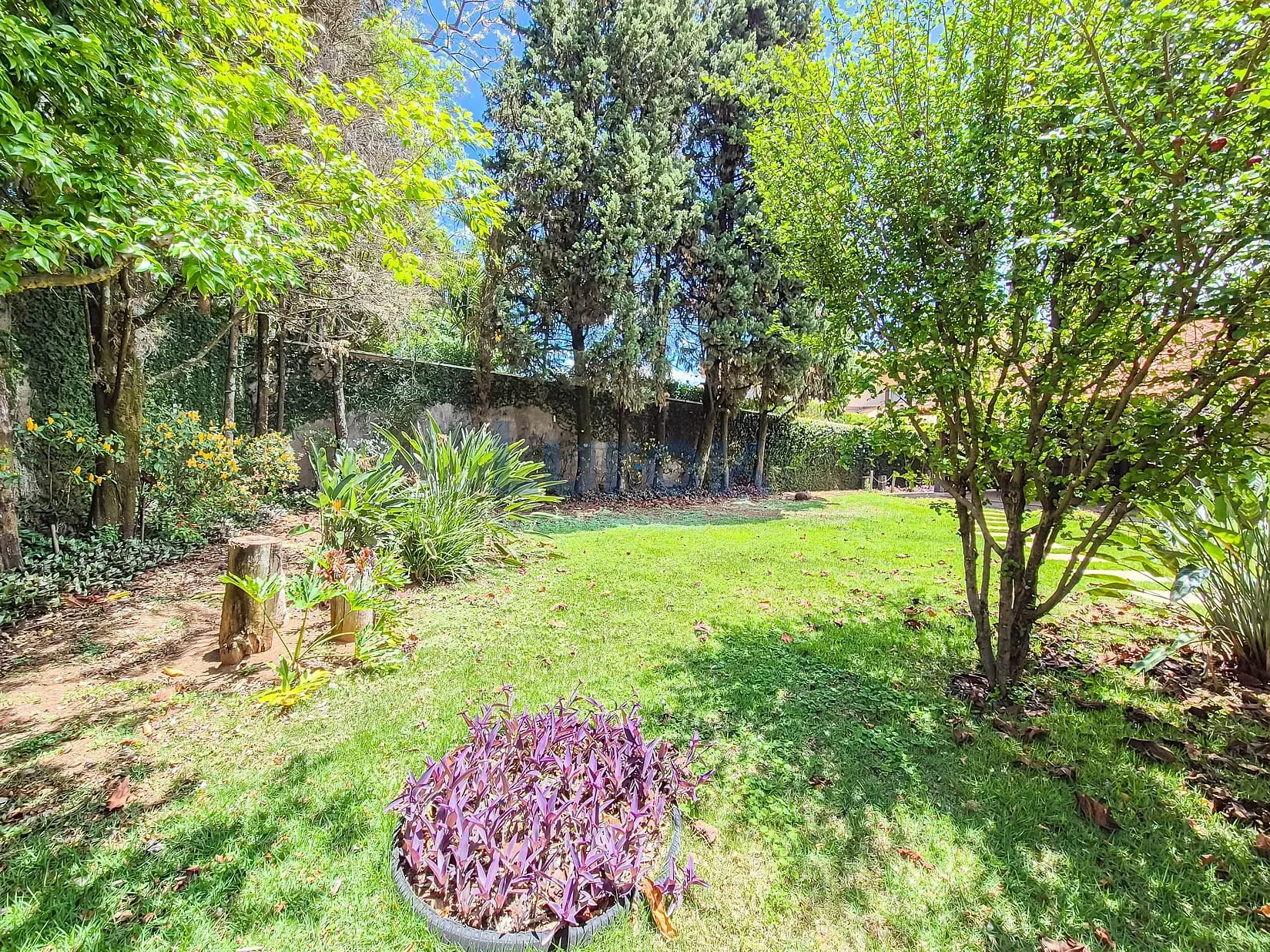 Casa, 3 quartos, 458 m² - Foto 47