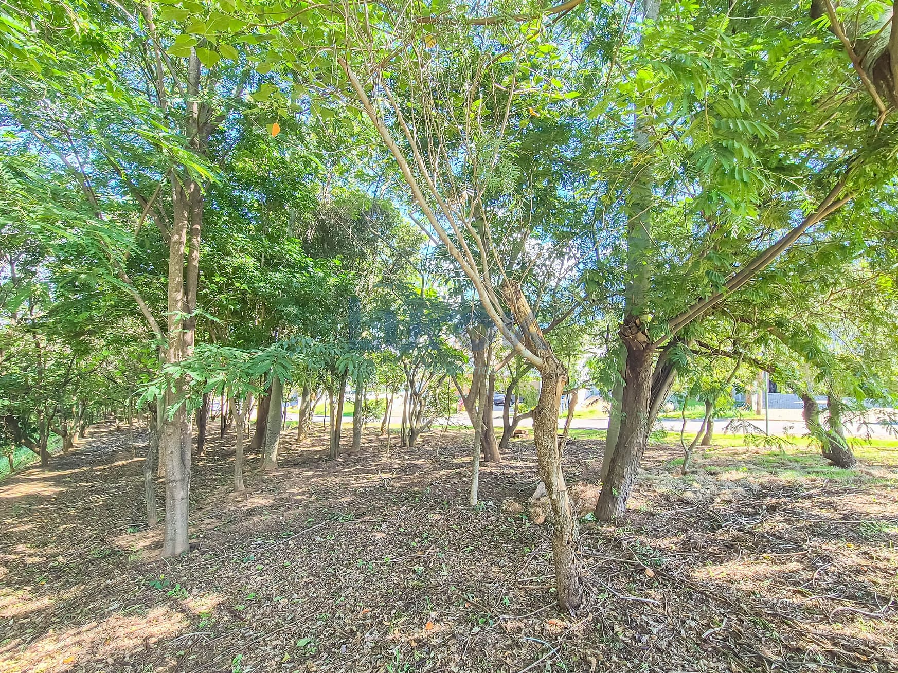 Casa, 3 quartos, 219 m² - Foto 40