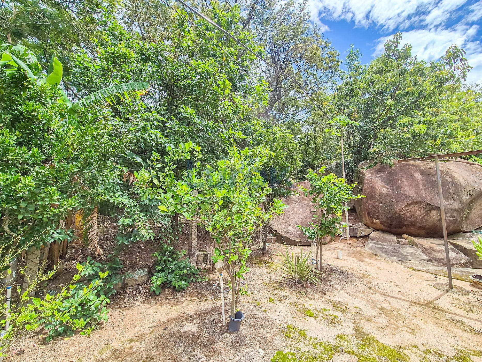 Casa, 4 quartos, 230 m² - Foto 25