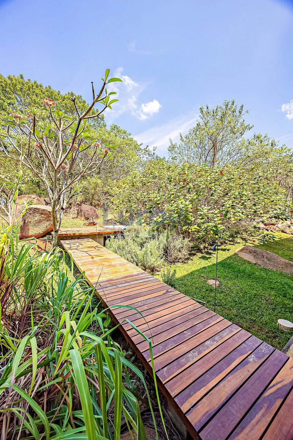 Casa, 5 quartos, 800 m² - Foto 38