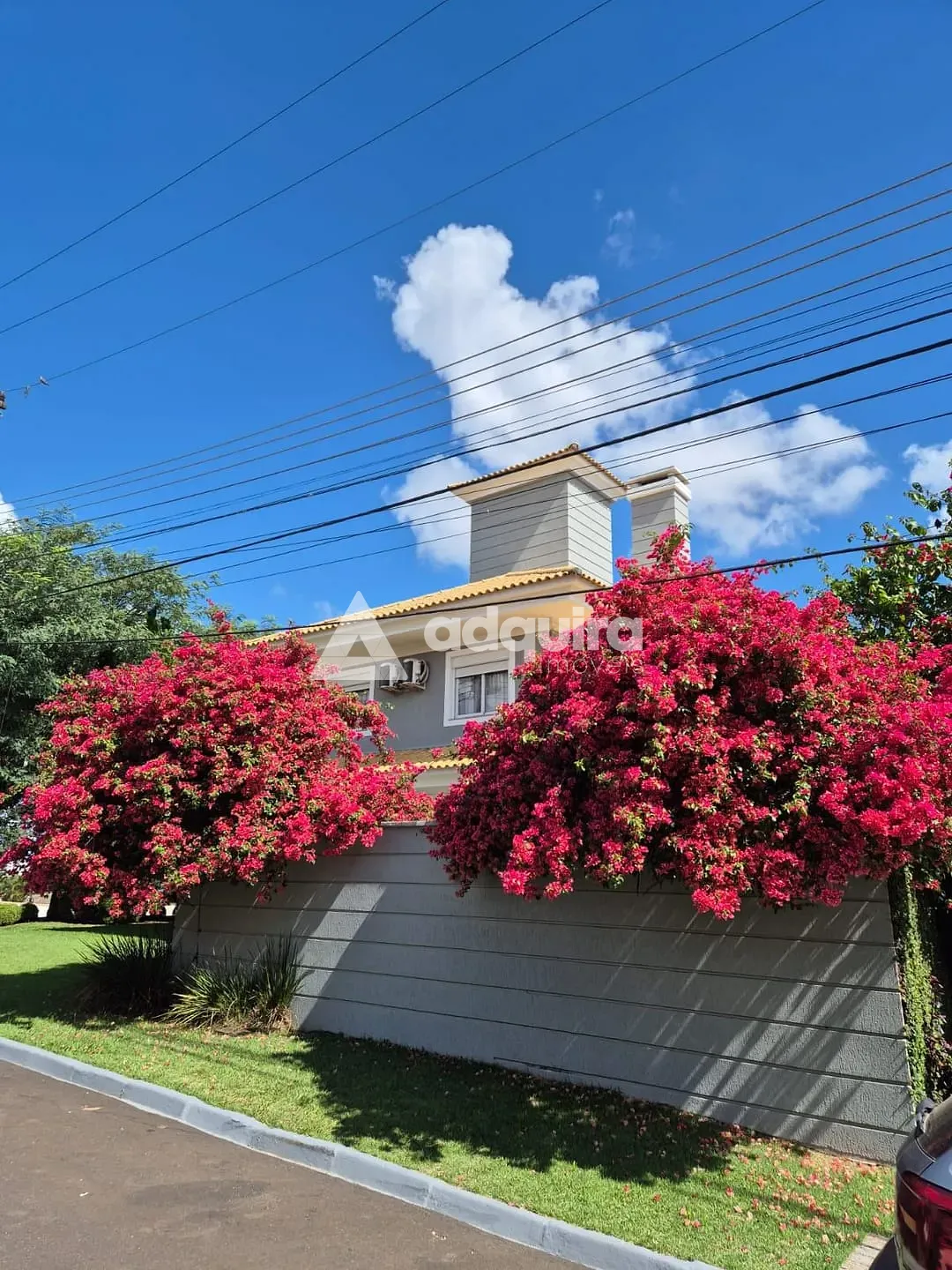 Casa, 4 quartos, 360 m² - Foto 31