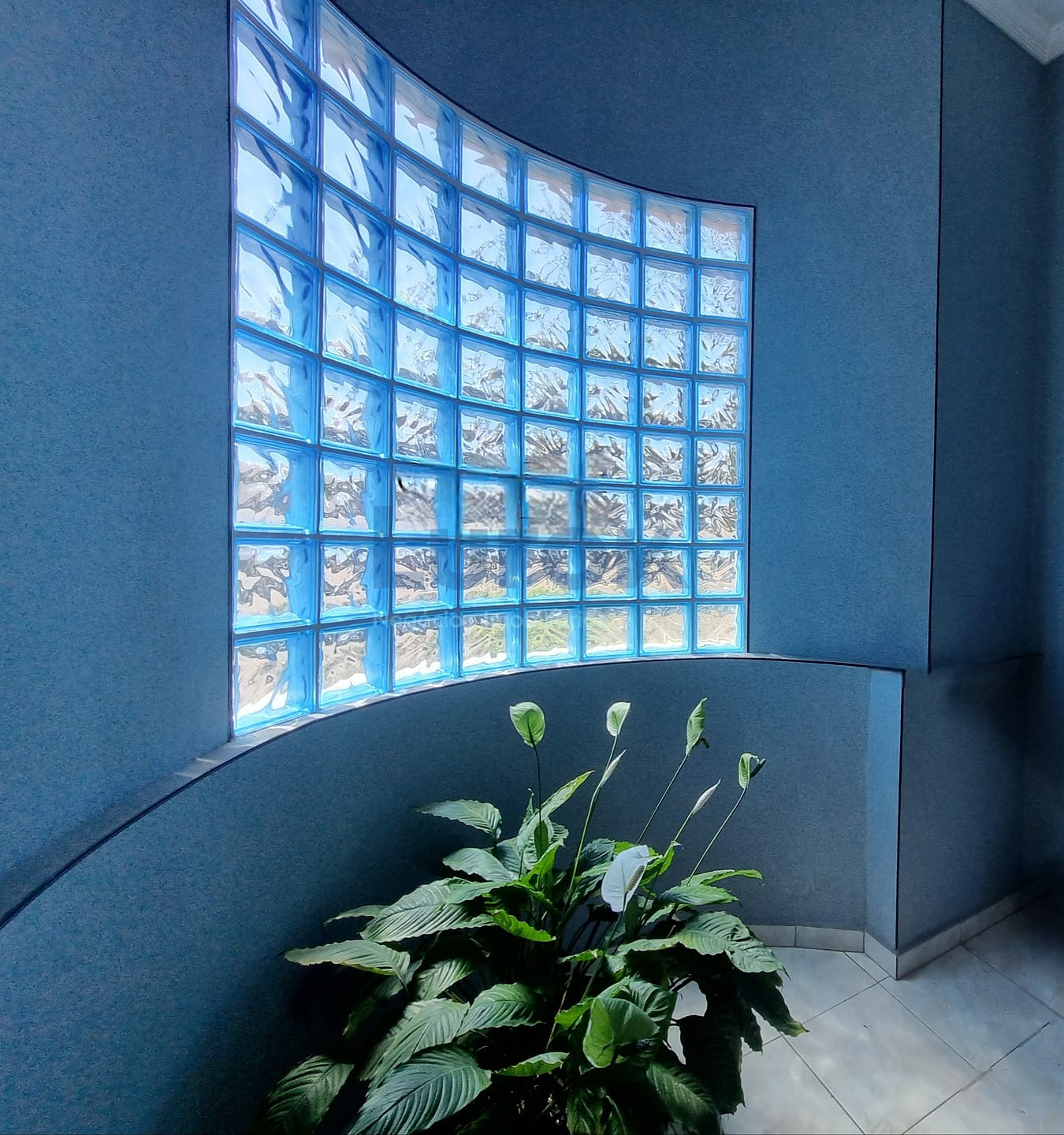 Casa, 3 quartos, 464 m² - Foto 17