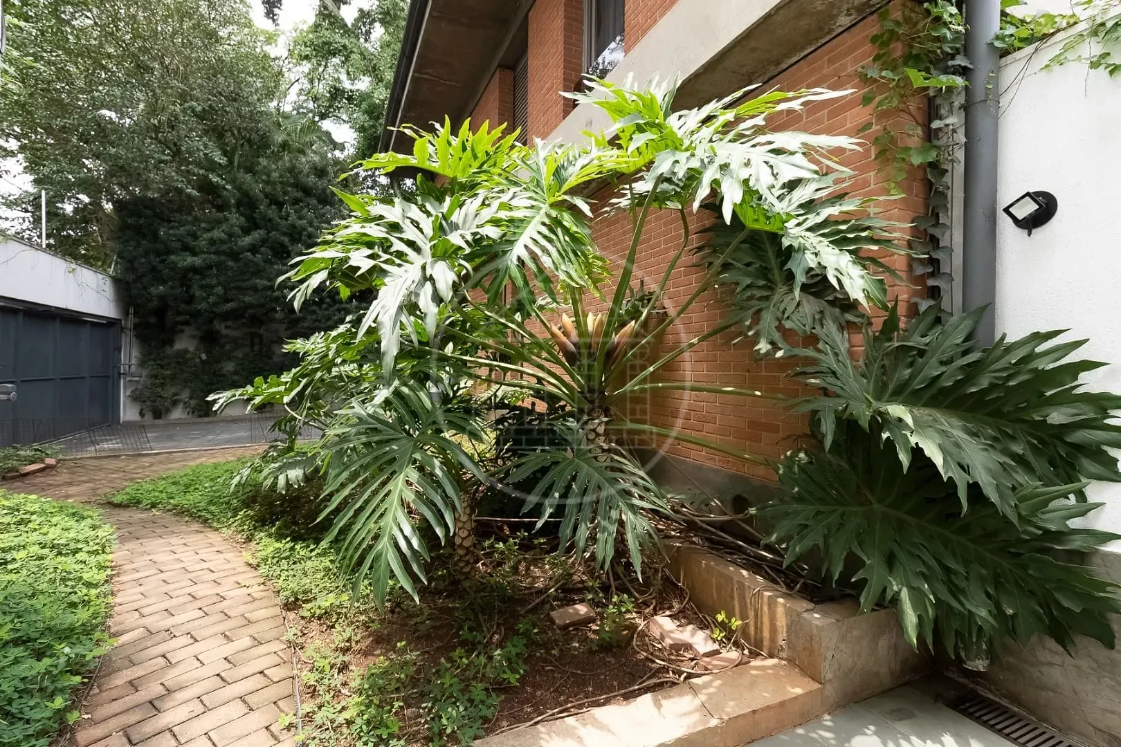 Casa, 4 quartos, 380 m² - Foto 48