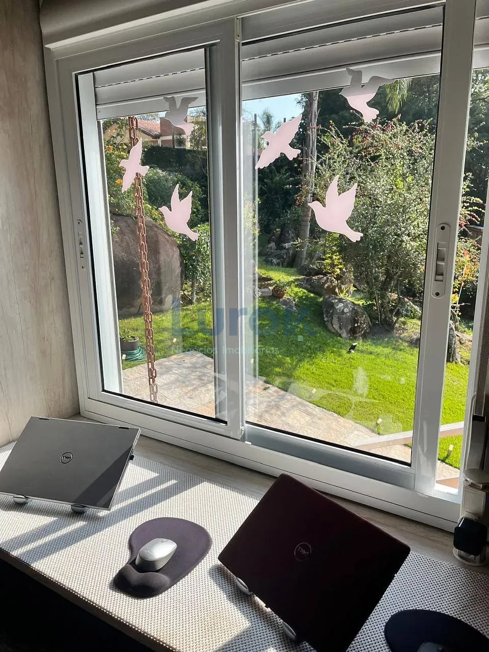 Casa, 5 quartos, 355 m² - Foto 14