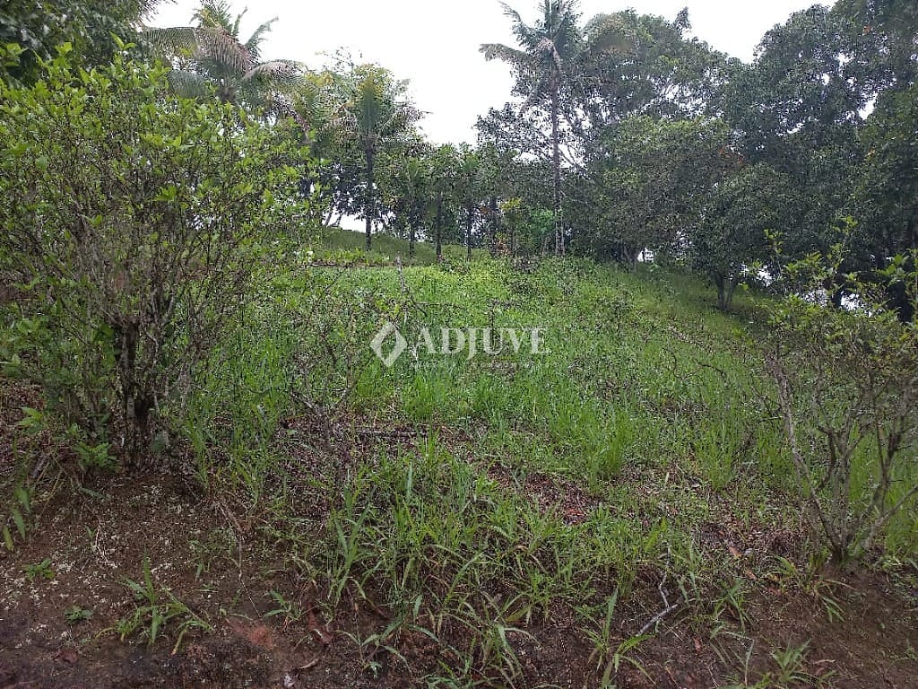 Casa à venda e aluguel com 3 quartos, 170m² - Foto 31