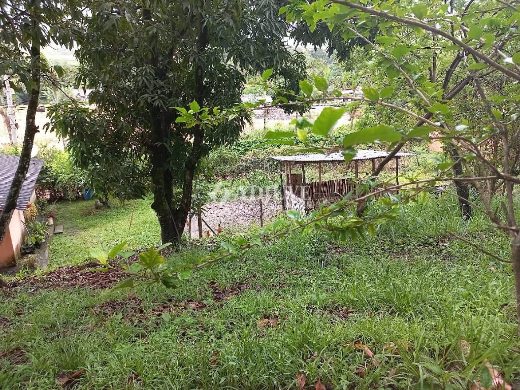 Casa à venda e aluguel com 3 quartos, 170m² - Foto 33