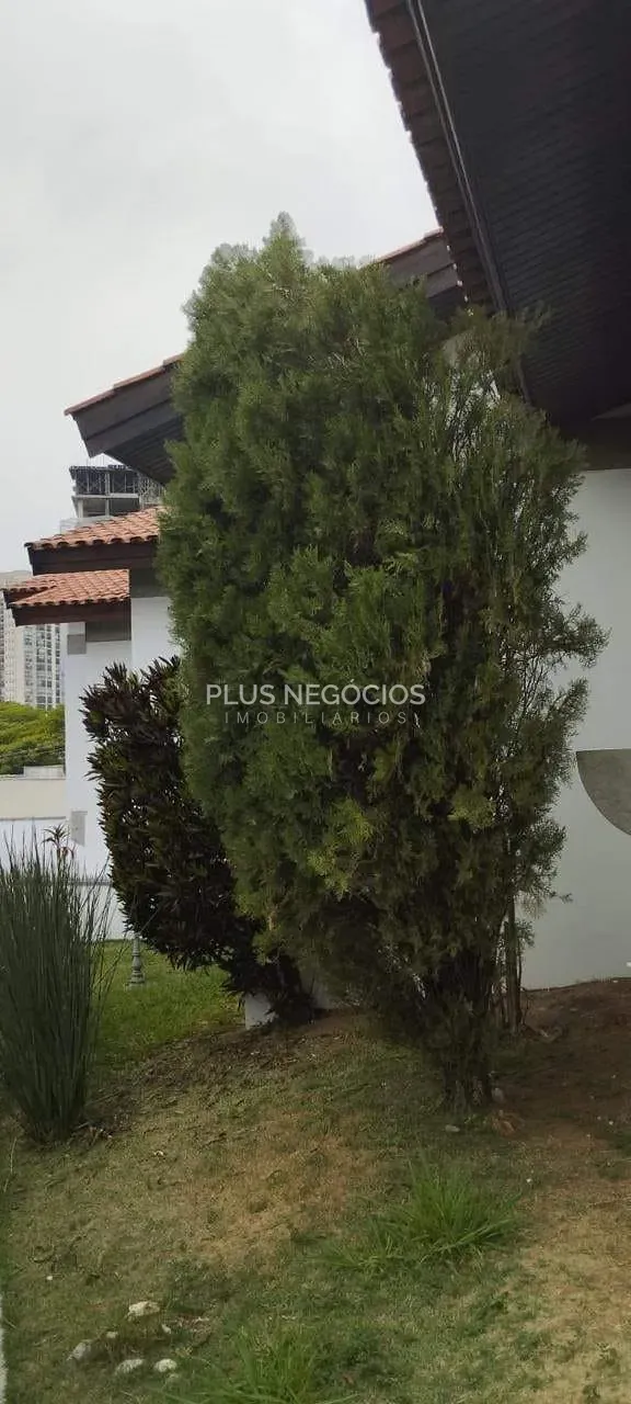 Casa, 3 quartos, 450 m² - Foto 3