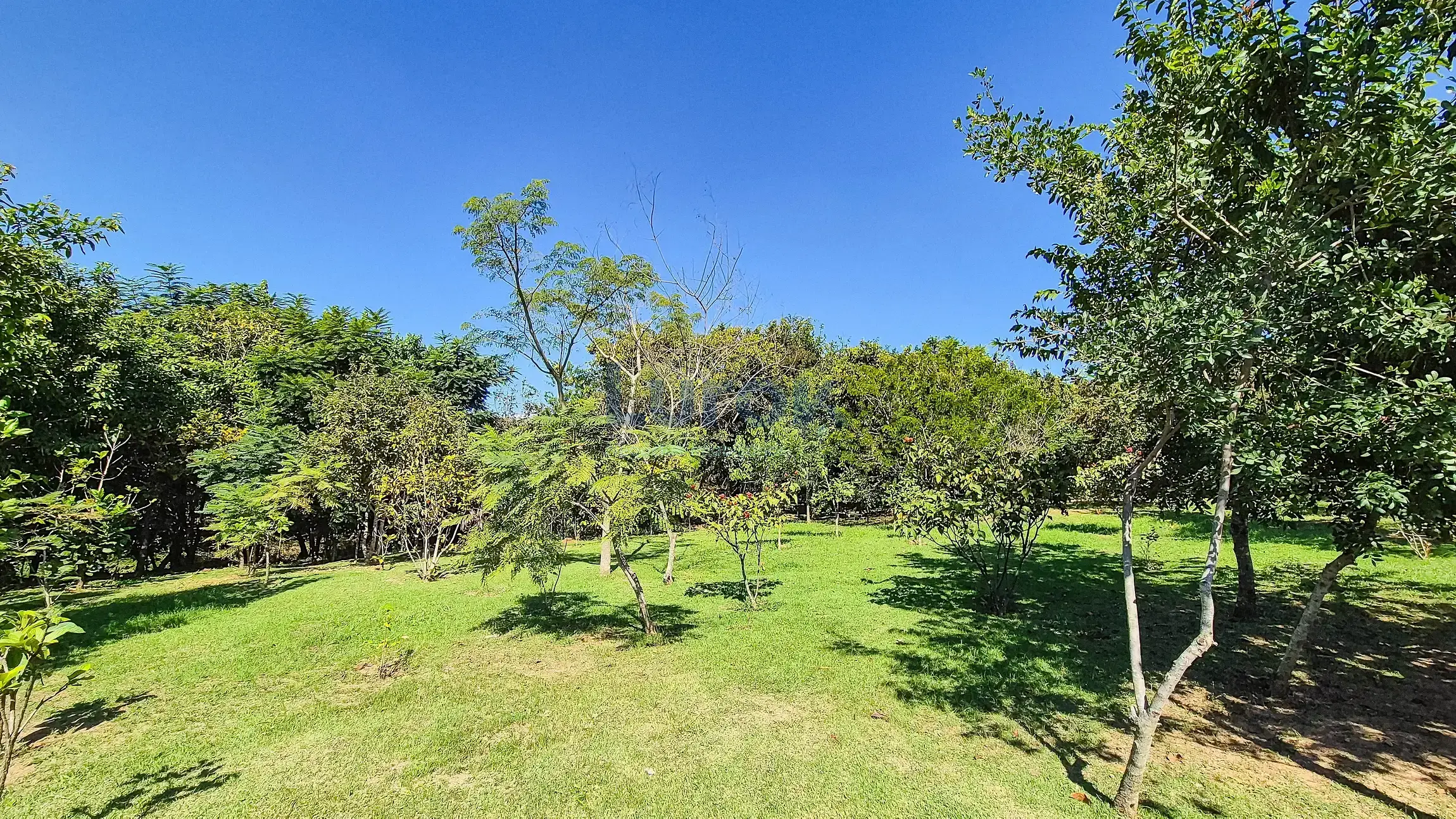 Casa, 3 quartos, 240 m² - Foto 48