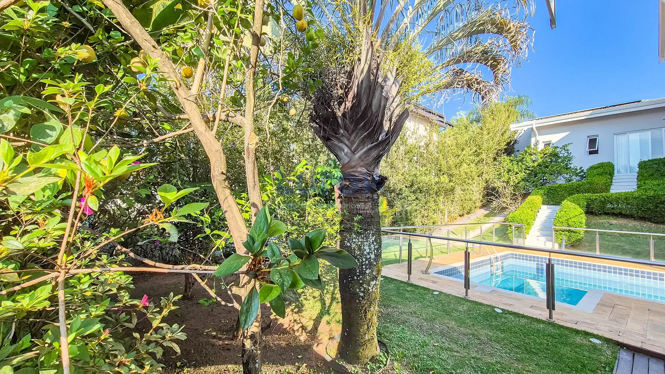 Casa, 3 quartos, 402 m² - Foto 34