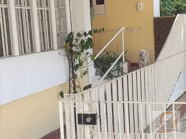 Casa com 450m² 4 quartos e 2 banheiros, à venda, no bairro Parada Inglesa em São Paulo