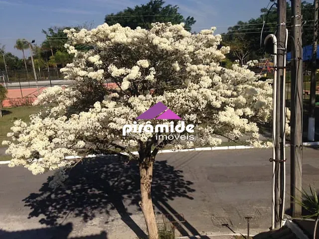 Casa com 350m² 3 quartos e 4 banheiros, à venda, no bairro Urbanova em São José dos Campos