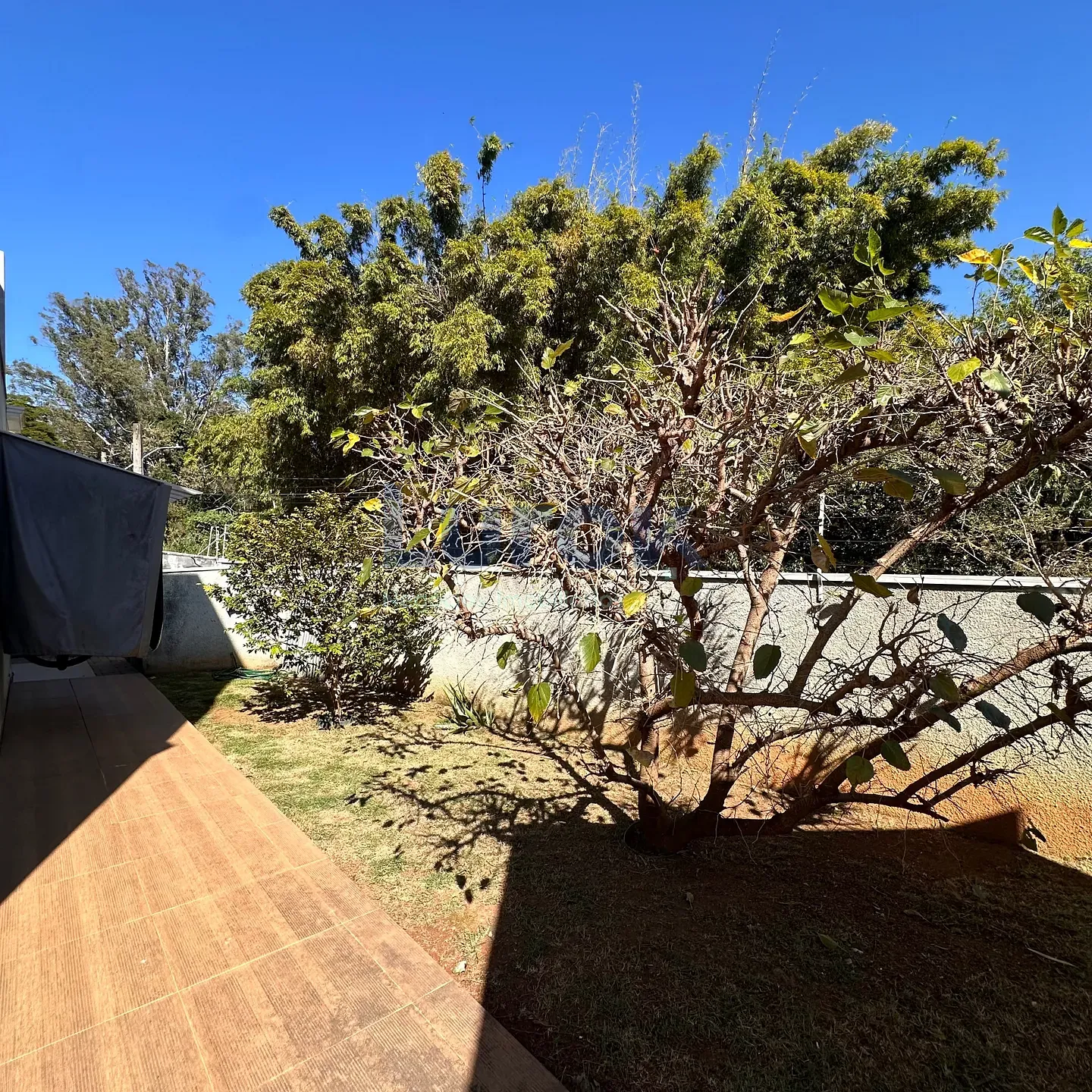 Casa, 3 quartos, 610 m² - Foto 54