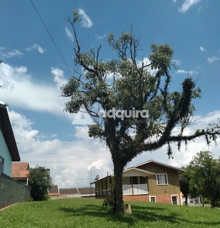 Casa, 3 quartos, 133 m² - Foto 6