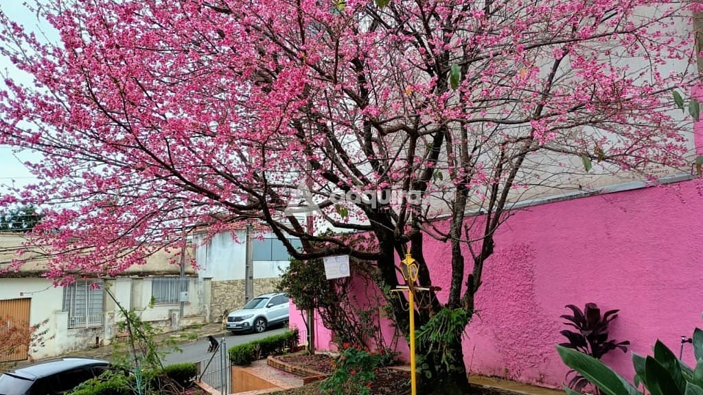 Casa à venda com 3 quartos, 200m² - Foto 2
