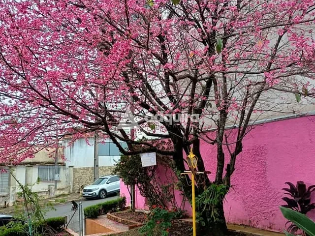 Casa com 630m² 3 quartos e 2 banheiros, à venda, no bairro Uvaranas em Ponta Grossa