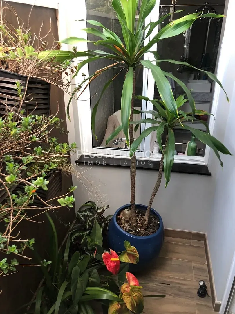 Casa, 3 quartos, 330 m² - Foto 35