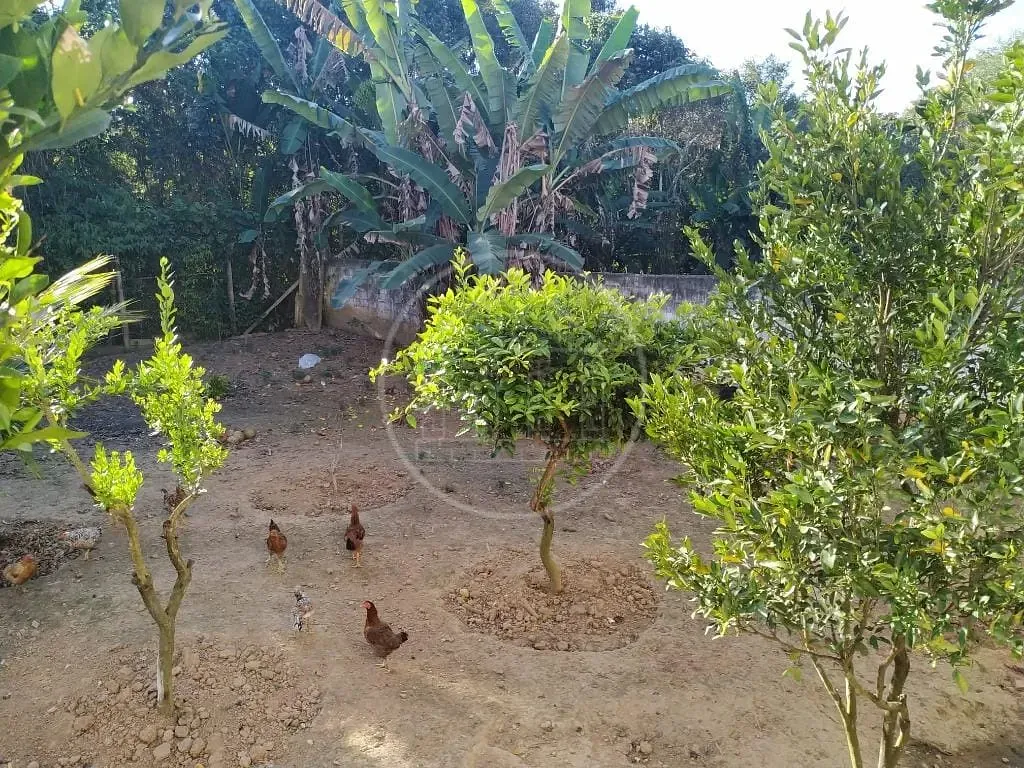 Casa, 3 quartos, 450 m² - Foto 53