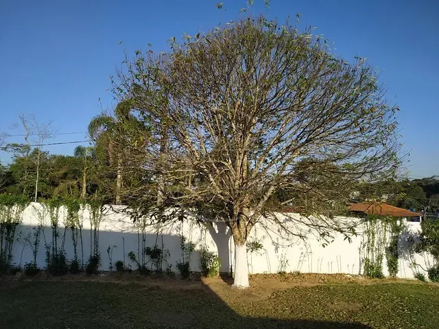 Casa com 3000m² 3 quartos e 2 banheiros, à venda ou para alugar, no bairro Cipó em Embu-Guaçu