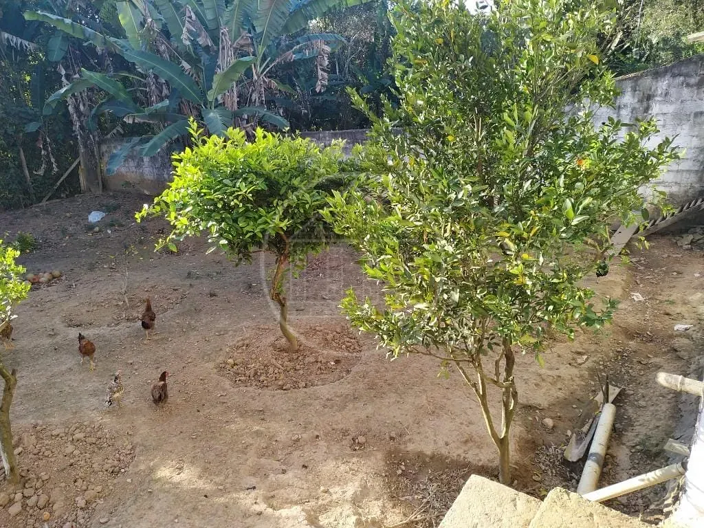 Casa, 3 quartos, 450 m² - Foto 55
