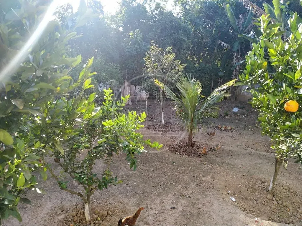 Casa, 3 quartos, 450 m² - Foto 50