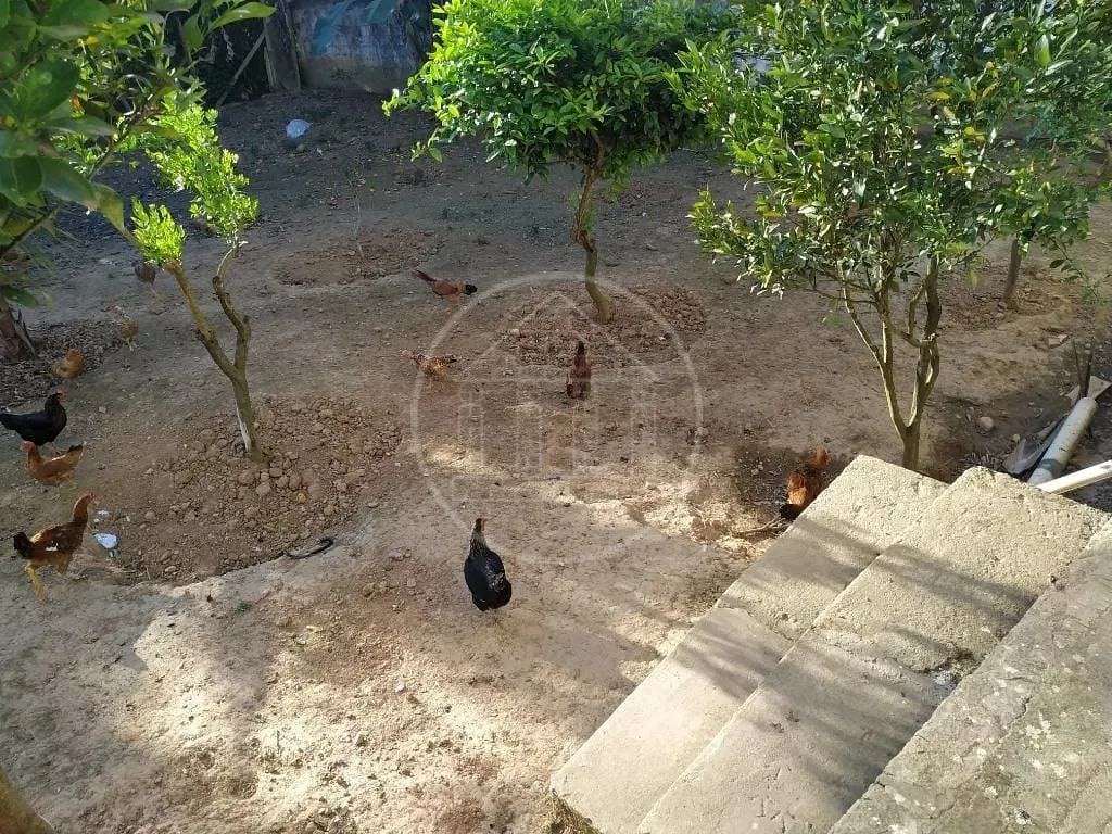 Casa, 3 quartos, 450 m² - Foto 56