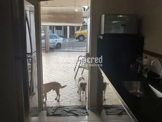Casa à venda, no bairro Jardim São Paulo em Londrina