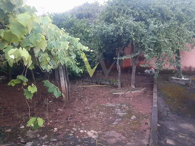 Casa com 375m² 3 quartos e 1 banheiro, à venda, no bairro Frei Estaquio em Anápolis