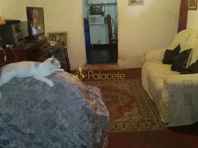 Casa com 350m² 4 quartos e 3 banheiros, à venda, no bairro Jardim Boa Vista em Pindamonhangaba