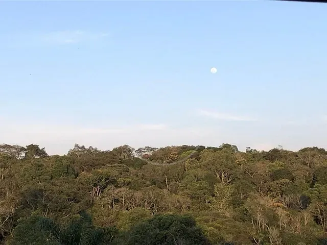Casa com 715m² 3 quartos e 3 banheiros, à venda, no bairro Loteamento Chacaras Embu-Guacu em Embu-Guaçu