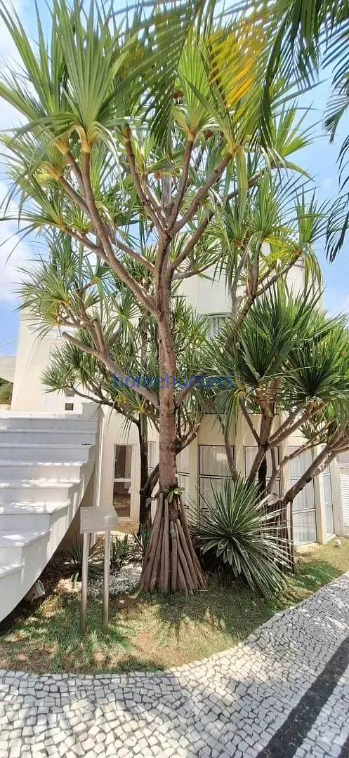 Casa, 4 quartos, 817 m² - Foto 36