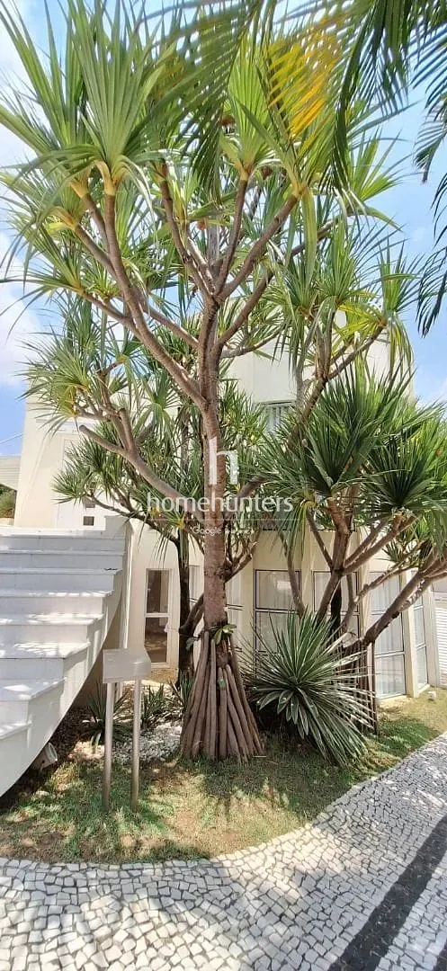 Casa, 4 quartos, 817 m² - Foto 36