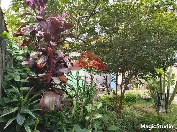 Casa, 3 quartos, 90 m² - Foto 42