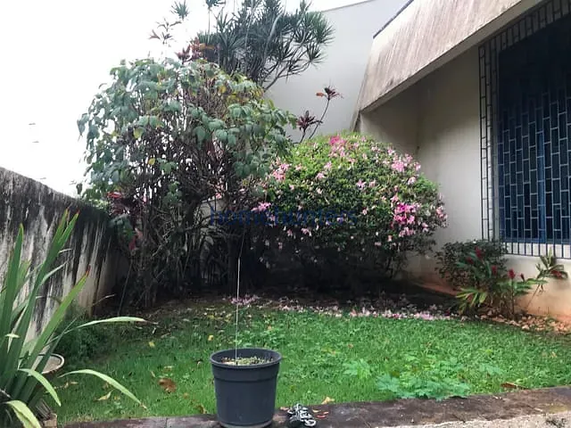 Casa com 342m² 2 quartos e 2 banheiros, à venda, no bairro Jardim Paraíso em Campinas