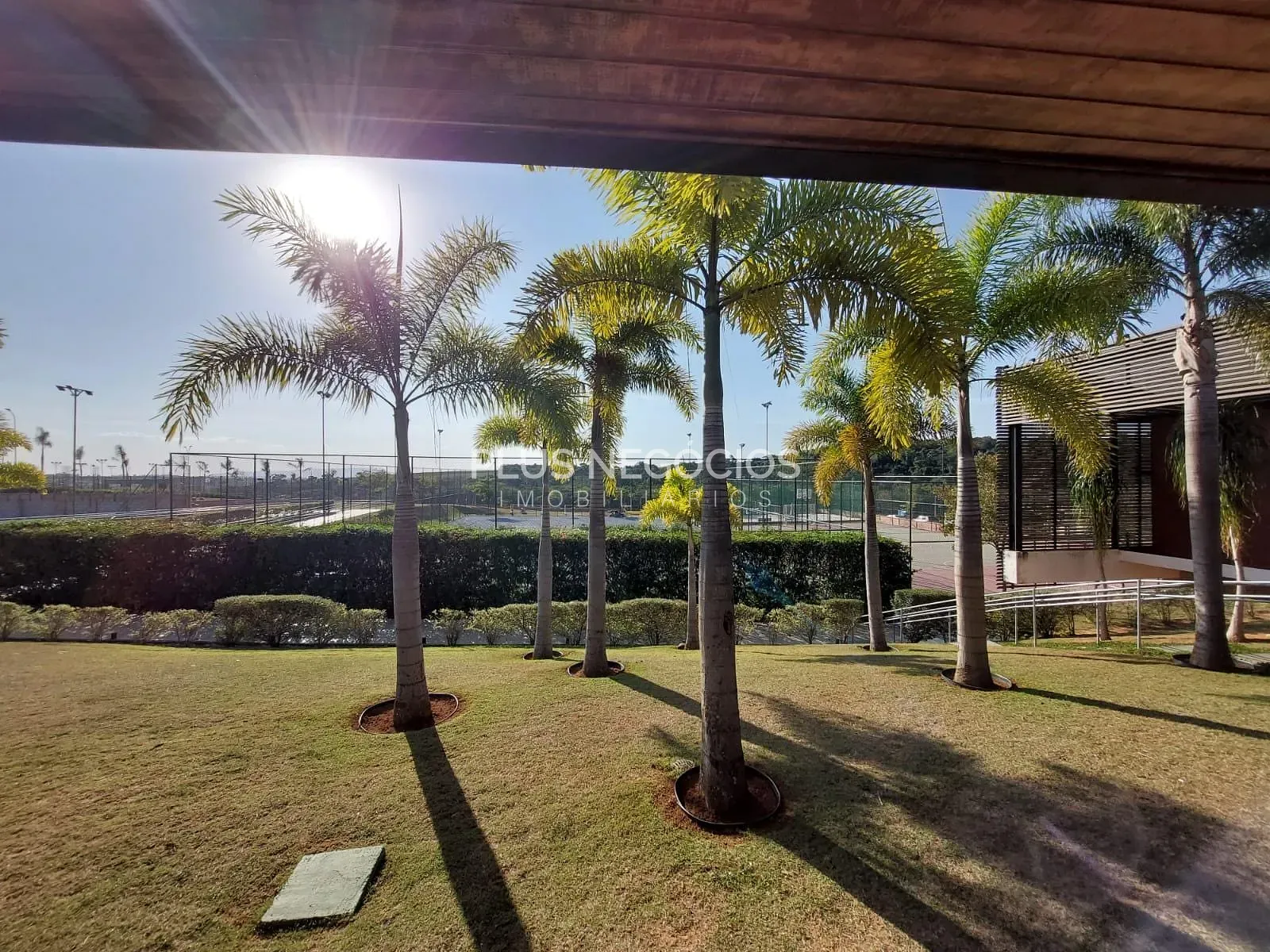 Casa, 3 quartos, 454 m² - Foto 14