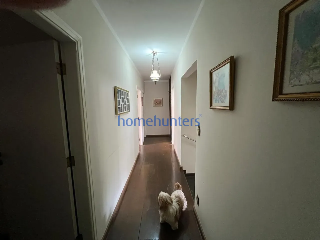 Casa, 4 quartos, 300 m² - Foto 19