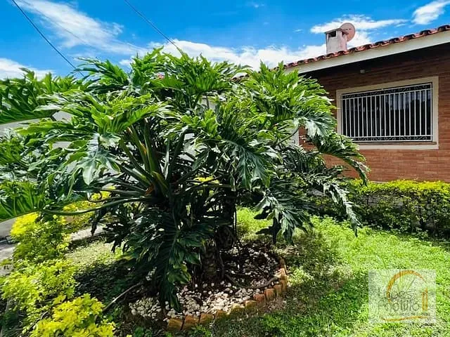 Casa com 390m² 3 quartos e 1 banheiro, à venda, no bairro Vila Nova Aclimação em Atibaia