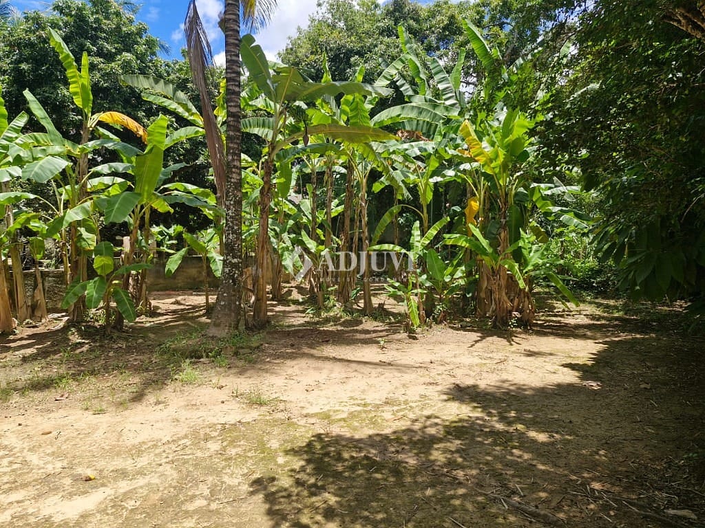 Casa, 2 quartos, 214 m² - Foto 7