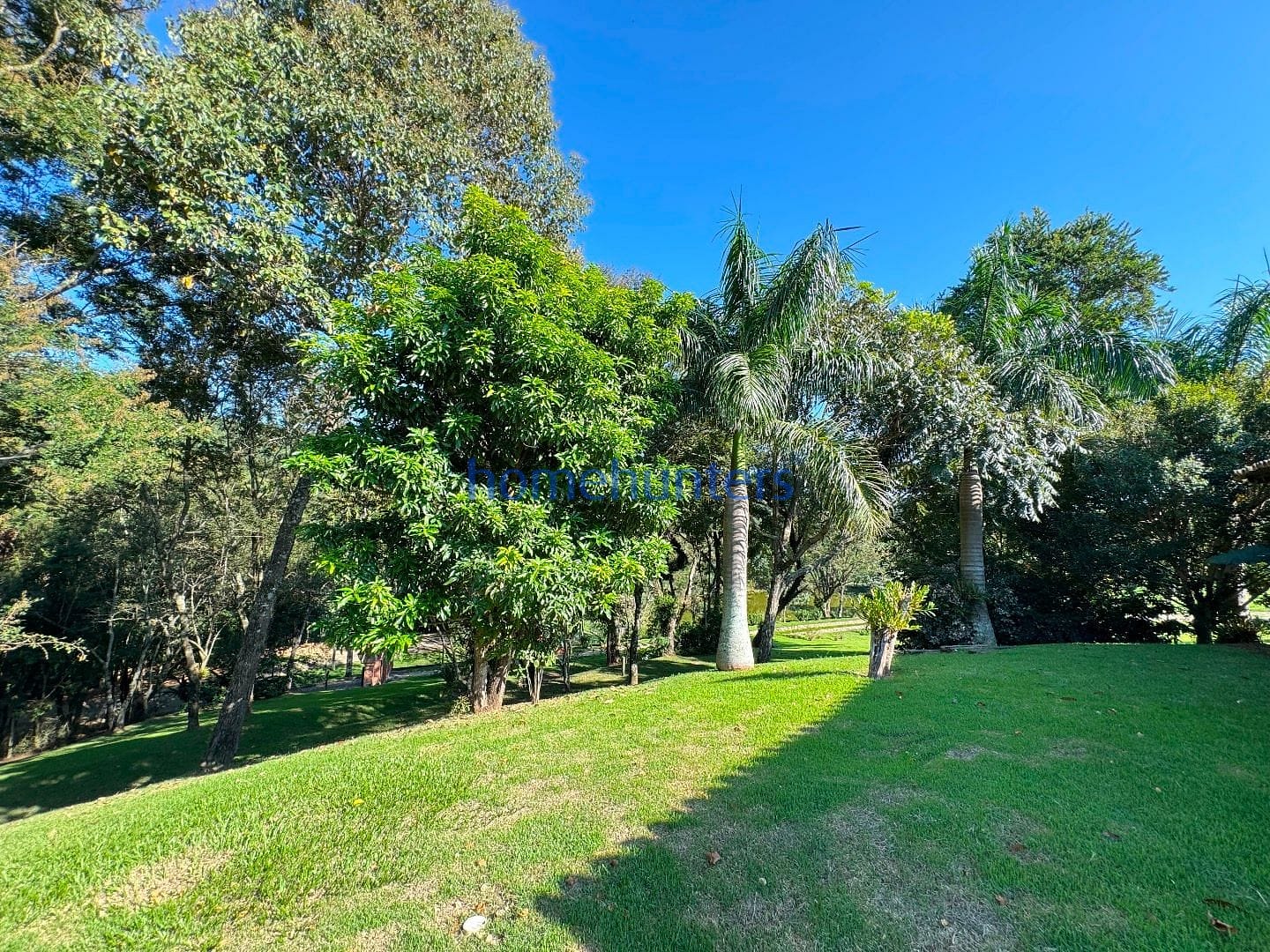 Casa, 5 quartos, 650 m² - Foto 109