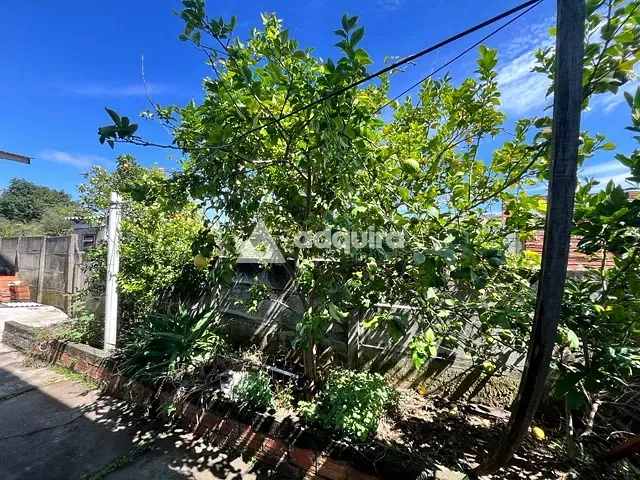 Casa 6 quartos e 3 banheiros, à venda, no bairro Ronda em Ponta Grossa
