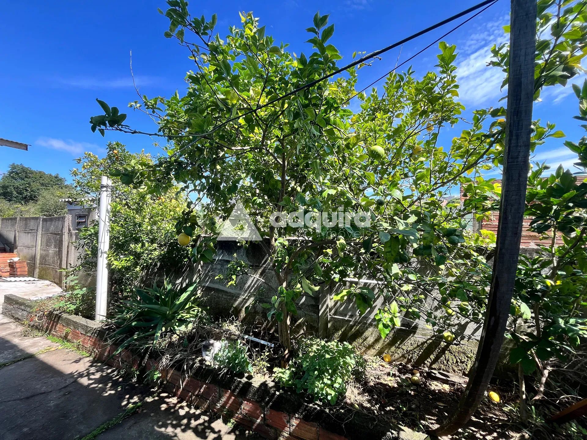 Casa, 6 quartos, 246 m² - Foto 5