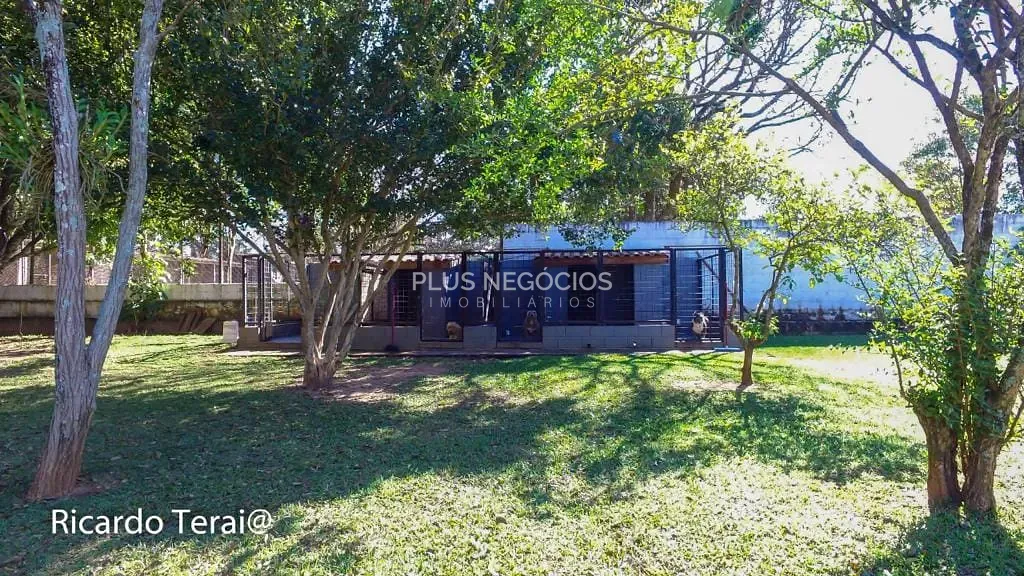 Casa, 4 quartos, 650 m² - Foto 23