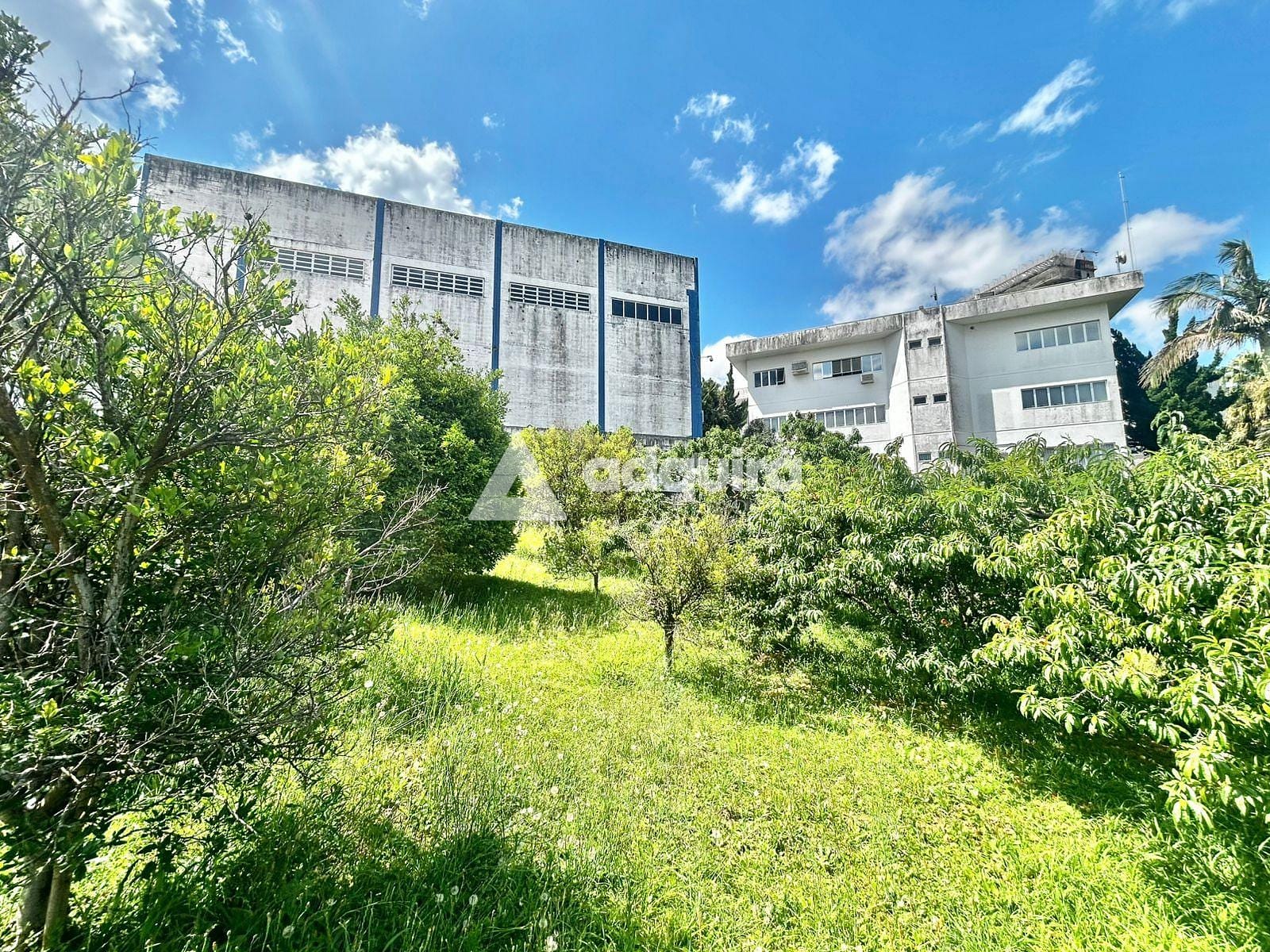 Casa, 4 quartos, 188 m² - Foto 28