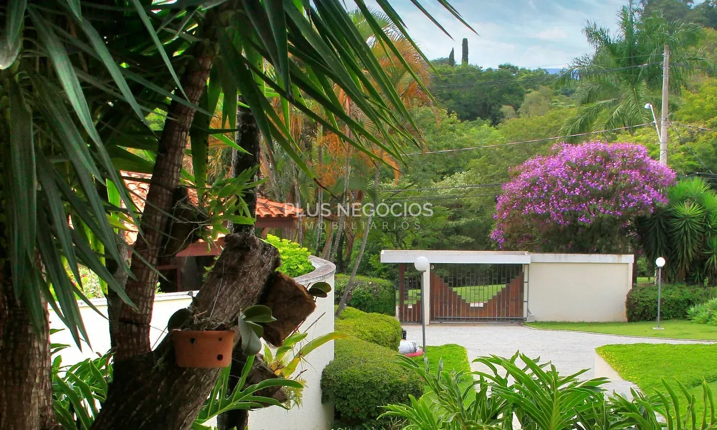 Casa, 6 quartos, 980 m² - Foto 6